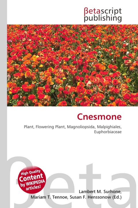 Kniha Cnesmone Mariam T. Tennoe