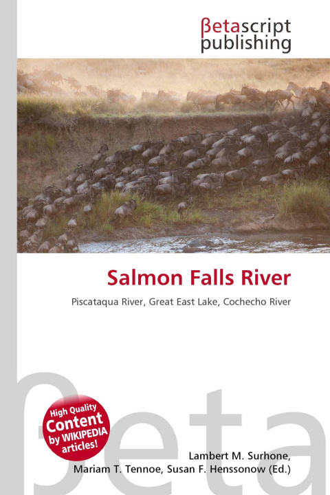 Knjiga Salmon Falls River Mariam T. Tennoe