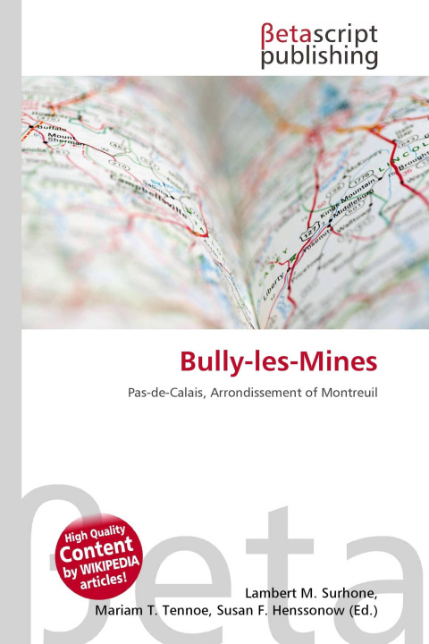 Kniha Bully-les-Mines Mariam T. Tennoe