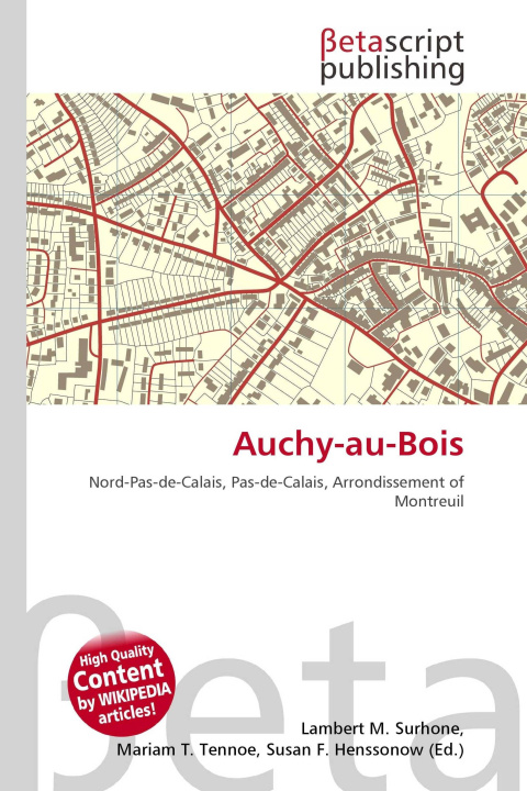 Kniha Auchy-au-Bois Mariam T. Tennoe