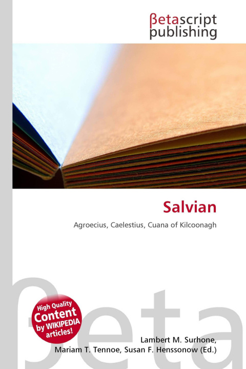 Kniha Salvian Mariam T. Tennoe
