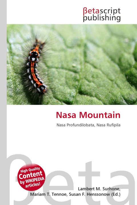 Kniha Nasa Mountain Mariam T. Tennoe