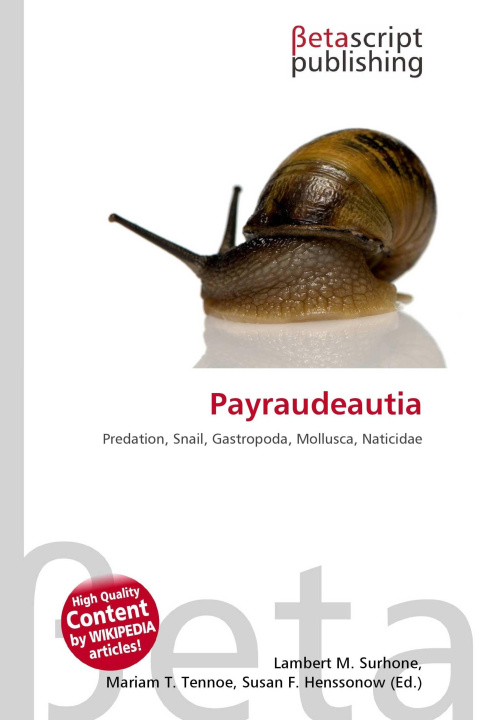 Kniha Payraudeautia Mariam T. Tennoe