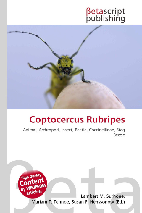 Kniha Coptocercus Rubripes Mariam T. Tennoe