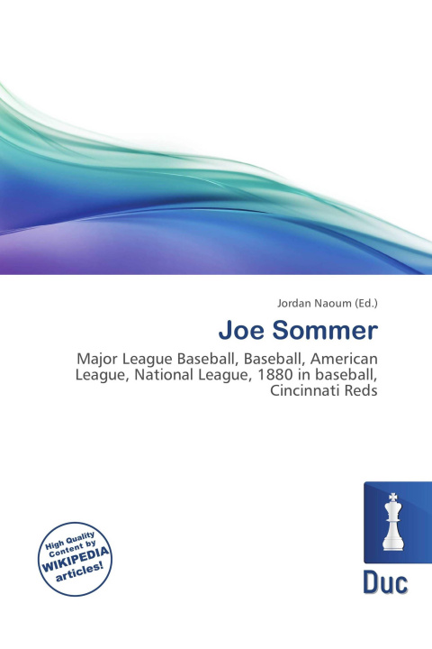 Kniha Joe Sommer 