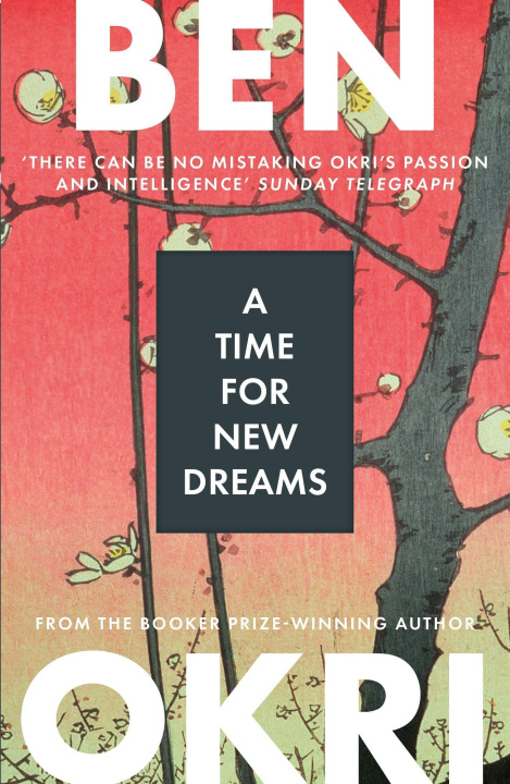 Knjiga A Time for New Dreams Ben Okri