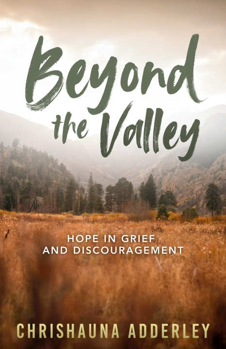 Kniha Beyond the Valley Chrishauna Adderley