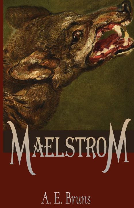 Buch Maelstrom A.E. Bruns