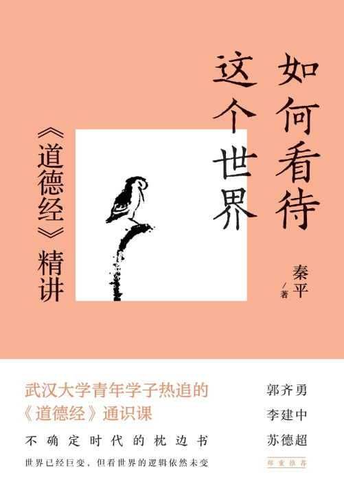 Kniha How to Perceive the World 秦平