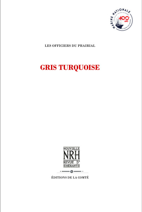 Kniha GRIS TURQUOISE Maignan