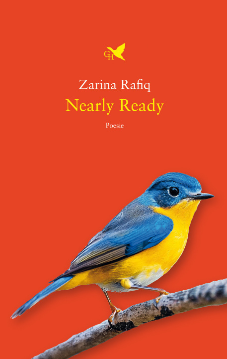 Kniha Nearly ready Zarina Rafiq
