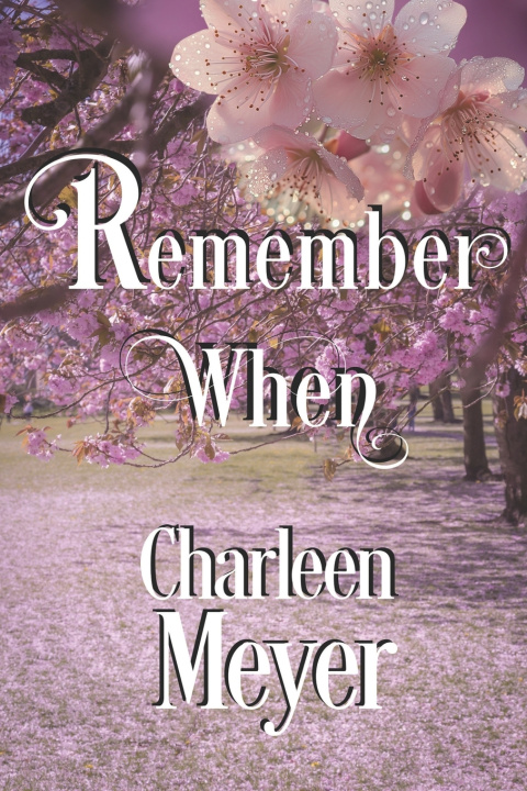 Kniha Remember When Charleen H Meyer