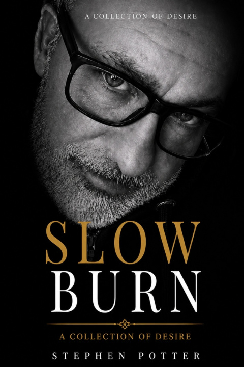 Kniha Slow Burn Stephen Potter