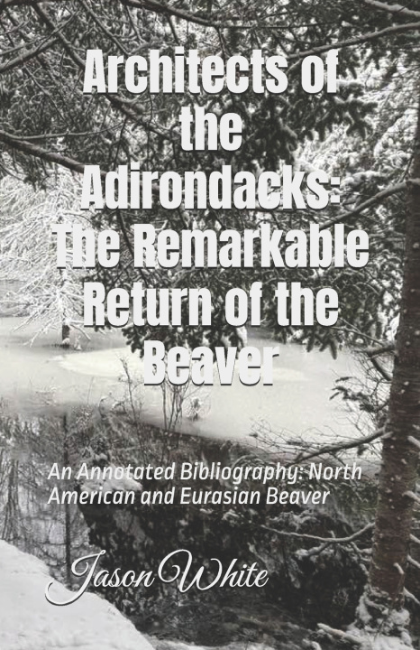 Książka Architects of the Adirondacks Jason White
