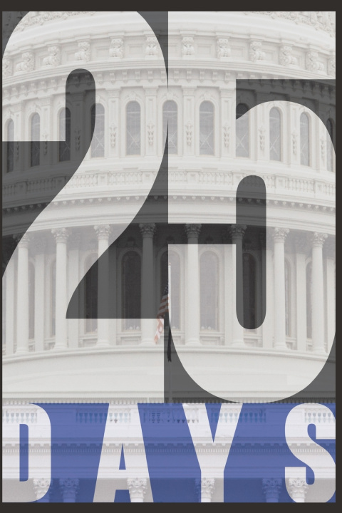 Knjiga 25 Days Clinton McAllister Collins
