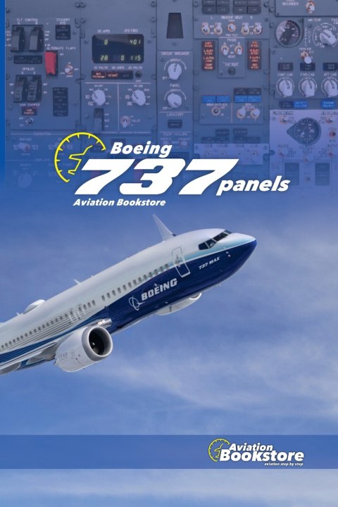 Kniha Boeing 737 Panels Facundo Conforti