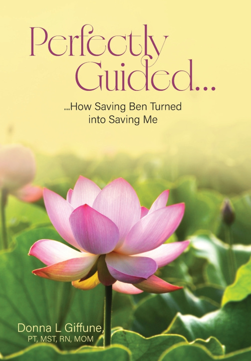 Knjiga Perfectly Guided... Donna L Giffune PT