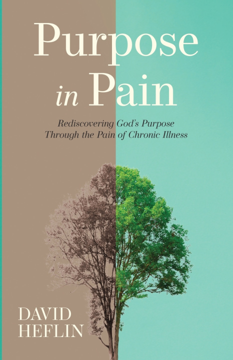 Buch Purpose in Pain David Heflin