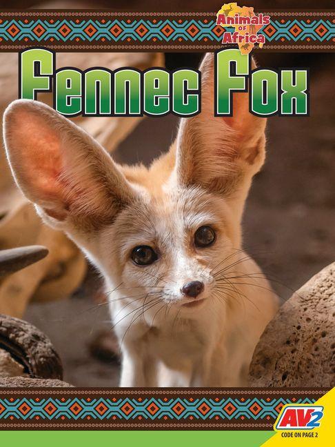 Kniha Fennec Fox 