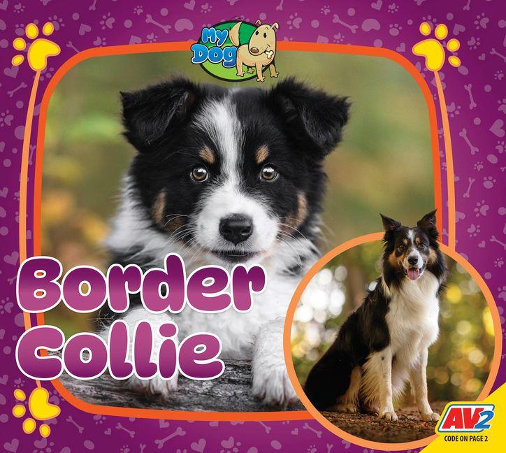 Kniha Border Collie 