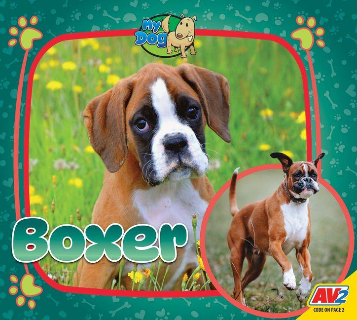 Kniha Boxer 