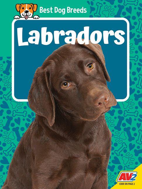Kniha Labradors 