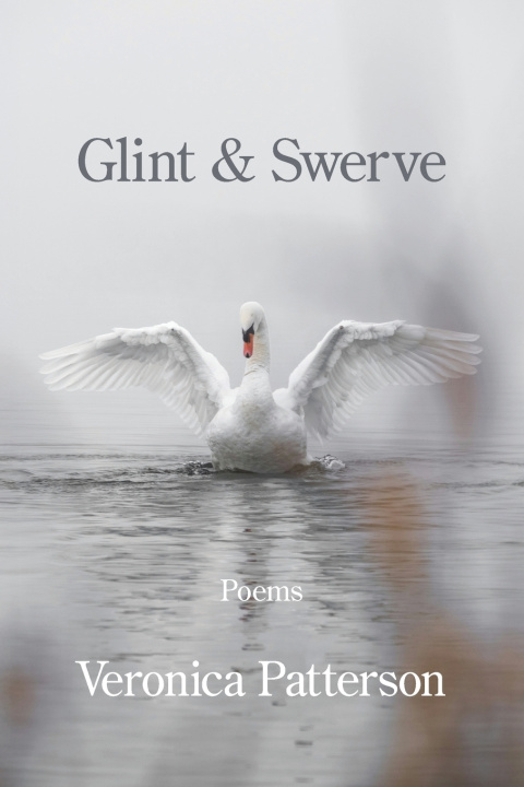Kniha Glint & Swerve Veronica Patterson