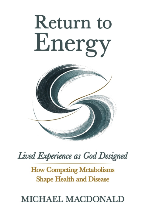 Kniha Return to Energy Michael MacDonald