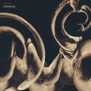 Audio Dissolution Siamese