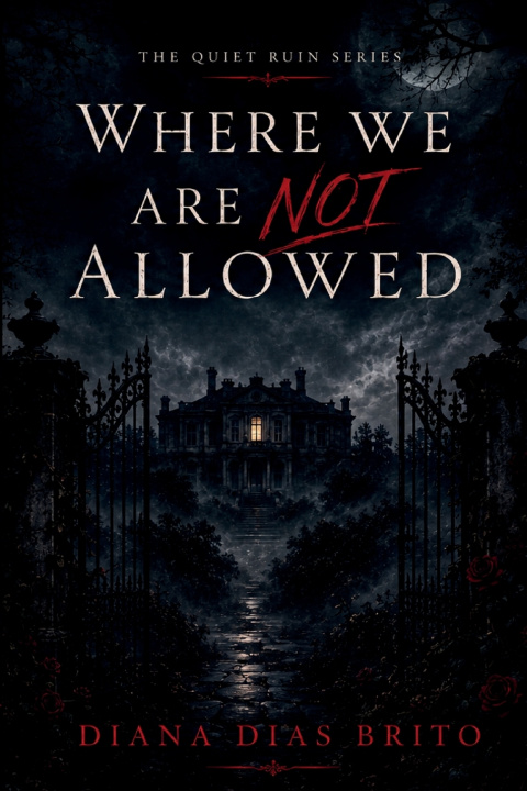 Kniha Where We Are Not Allowed Diana Dias Brito