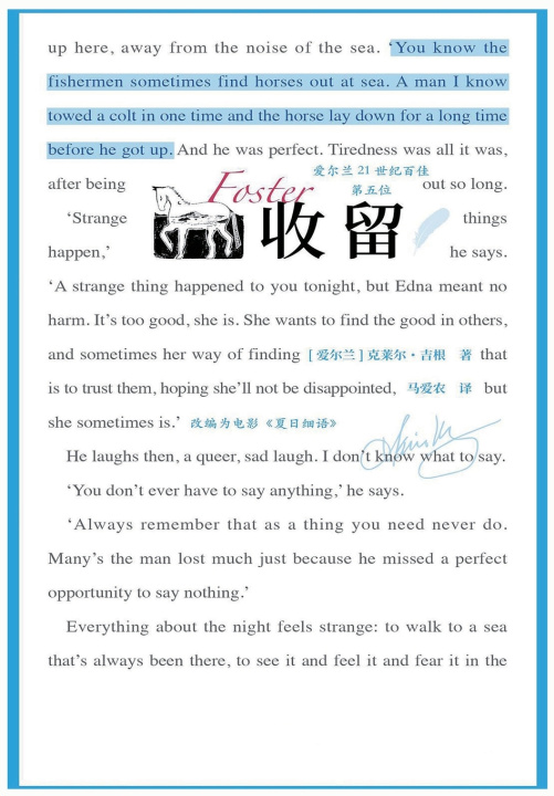 Kniha 收留 [爱尔兰]克莱尔·吉根