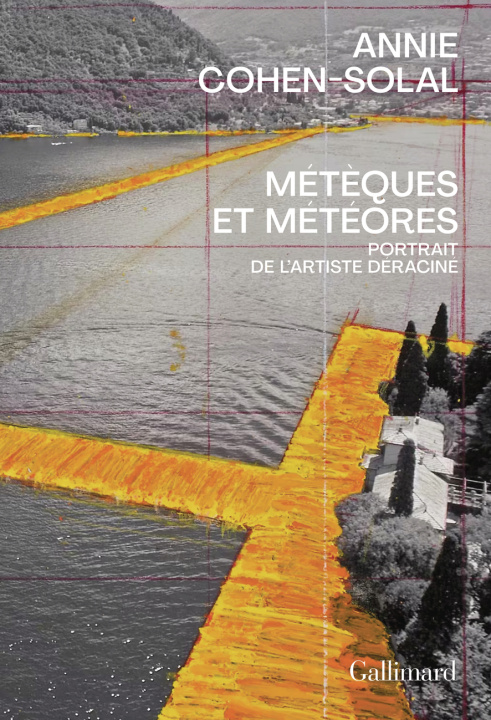 Knjiga METEQUES ET METEORES ANNIE COHEN-SOLAL