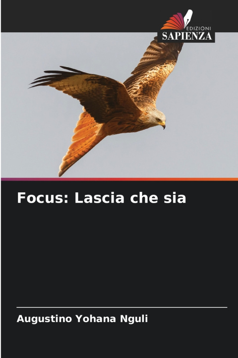 Knjiga Focus Augustino Yohana Nguli