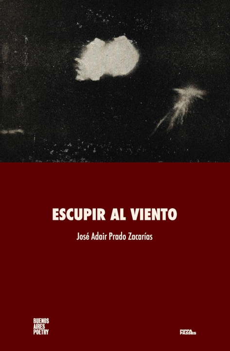 Βιβλίο Escupir al viento José Adair Prado Zacarías