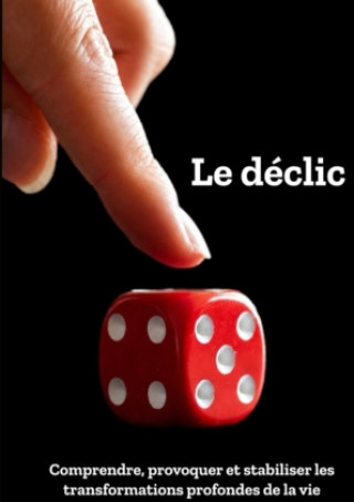 Kniha Le déclic __ _