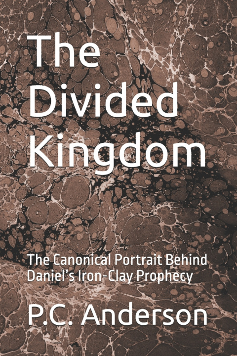 Kniha The Divided Kingdom P.C. Anderson