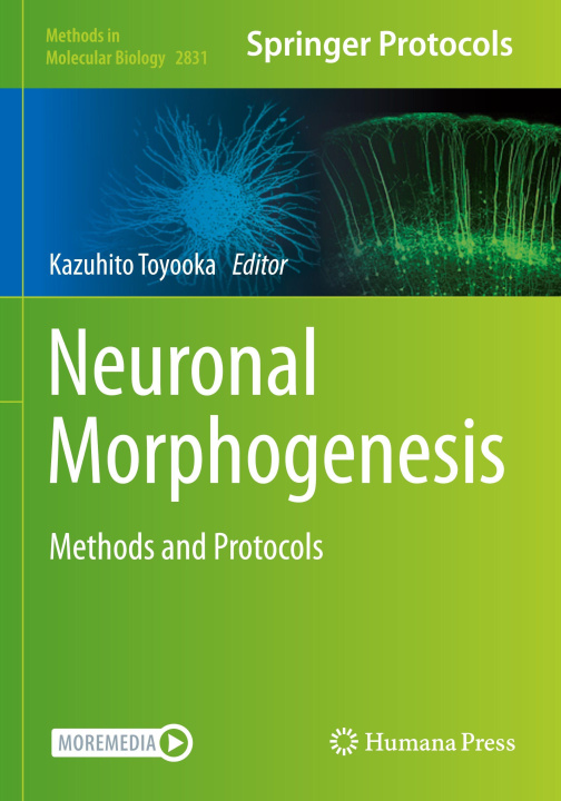 Kniha Neuronal Morphogenesis Kazuhito Toyooka