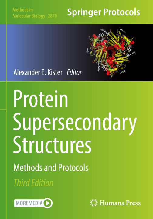 Kniha Protein Supersecondary Structures Alexander E. Kister
