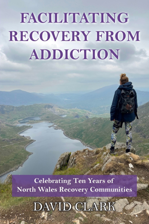 Knjiga Facilitating Recovery From Addiction David Clark