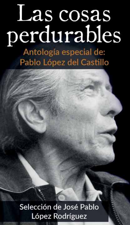 Buch Las cosas perdurables José Pablo López del Castillo