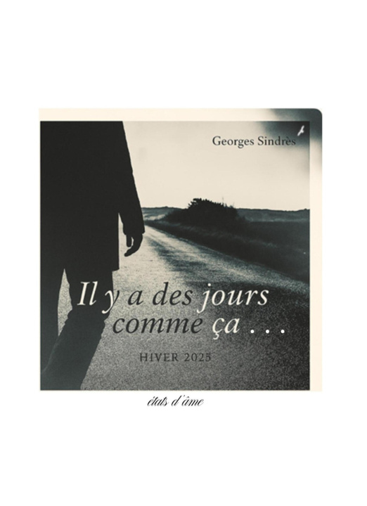 Kniha Il y a des jours comme ça... Georges Sindrès