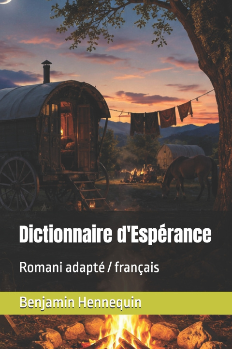 Kniha Dictionnaire d'Espérance Benjamin Hennequin