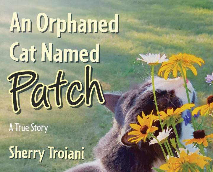 Könyv An Orphaned Cat Named Patch Sherry Troiani