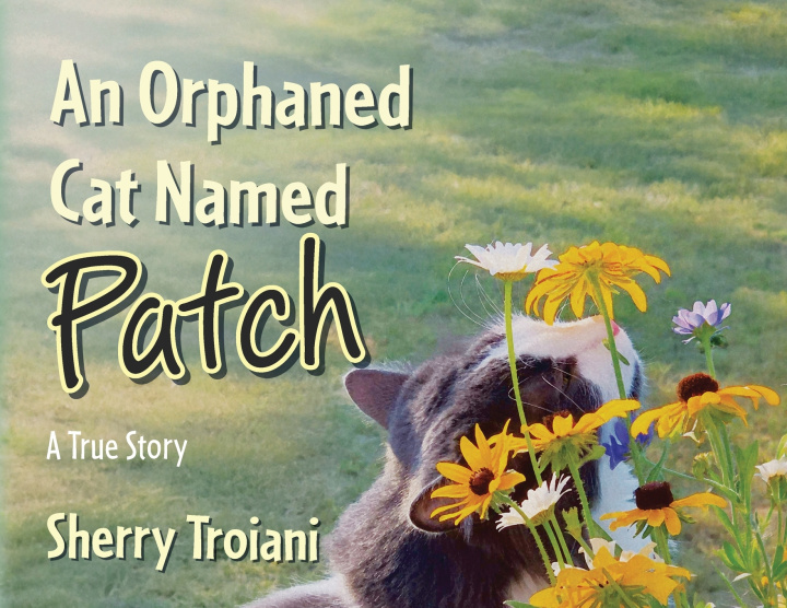 Könyv An Orphaned Cat Named Patch Sherry Troiani