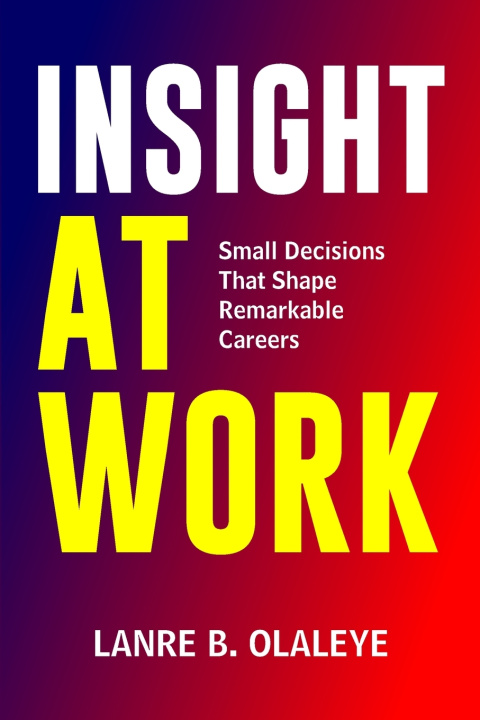 Kniha Insight At Work Lanre B. Olaleye