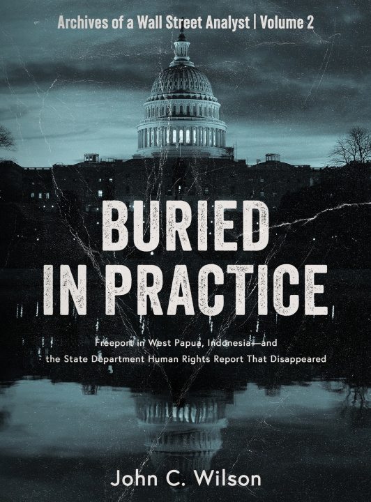 Knjiga Buried in Practice John C. Wilson