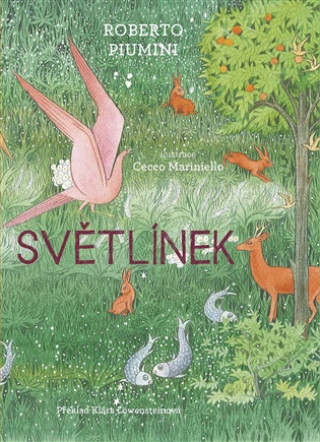Buch Světlínek Roberto Piumini
