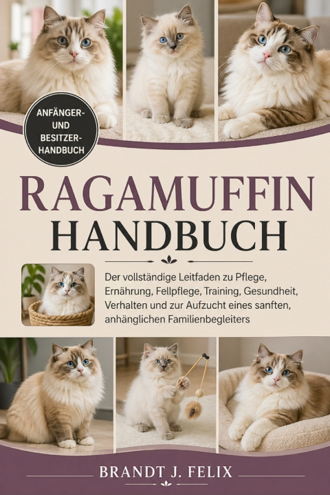 Kniha RAGAMUFFIN-HANDBUCH BRANDT J. FELIX