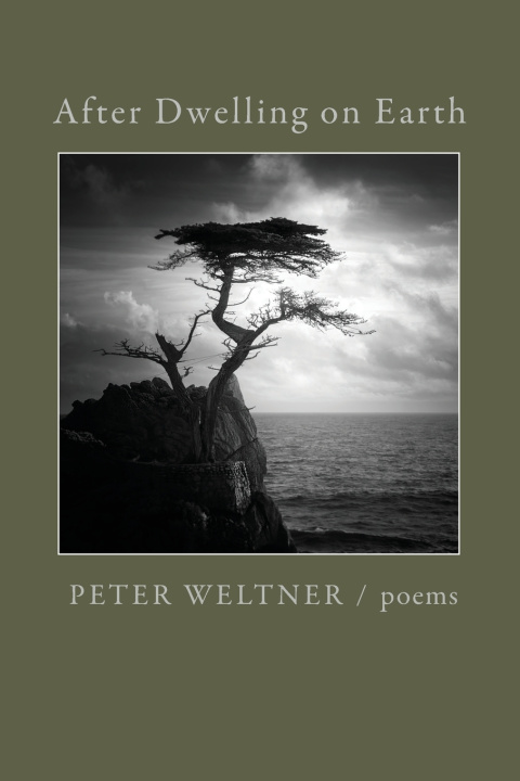 Boek After Dwelling on Earth Peter Weltner