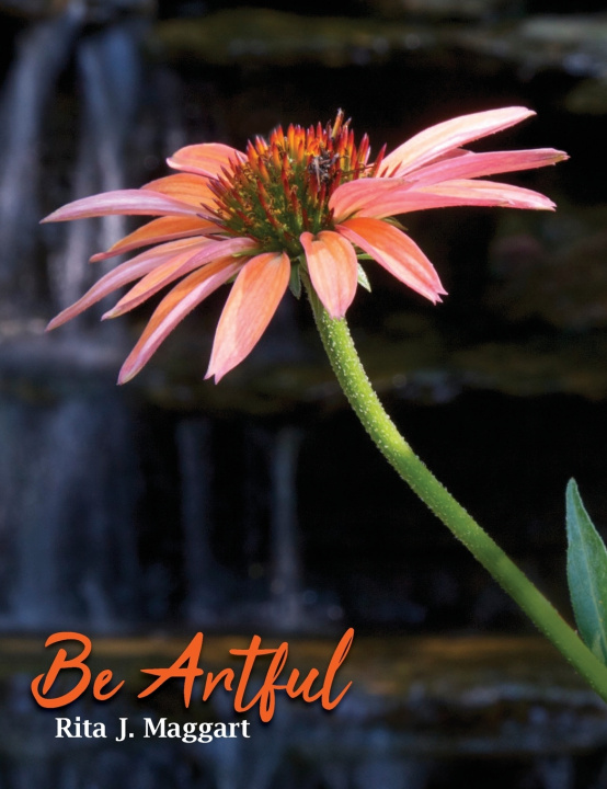 Knjiga Be Artful Rita J Maggart